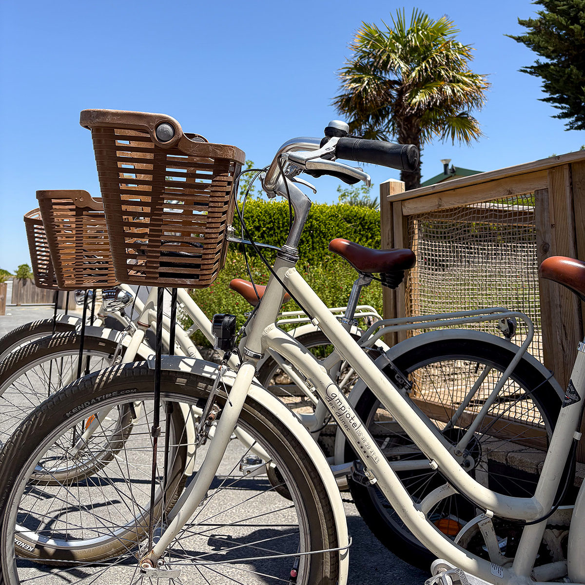 Vélo de location au camping Les Dune sur l'Île de Ré